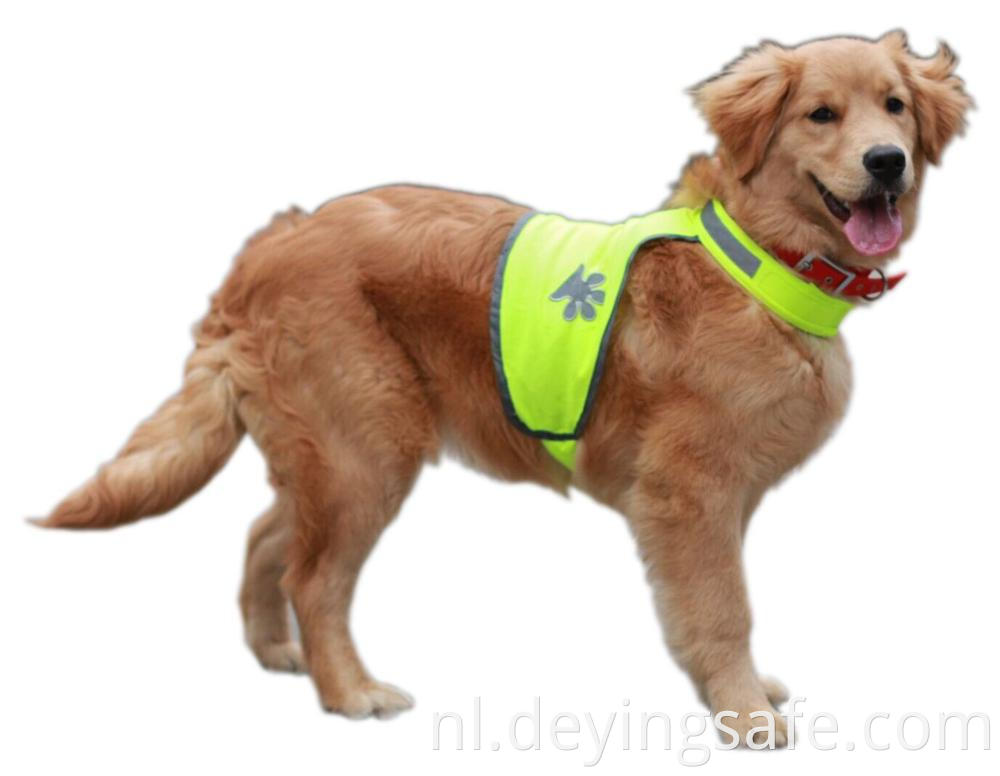 dog safety vest